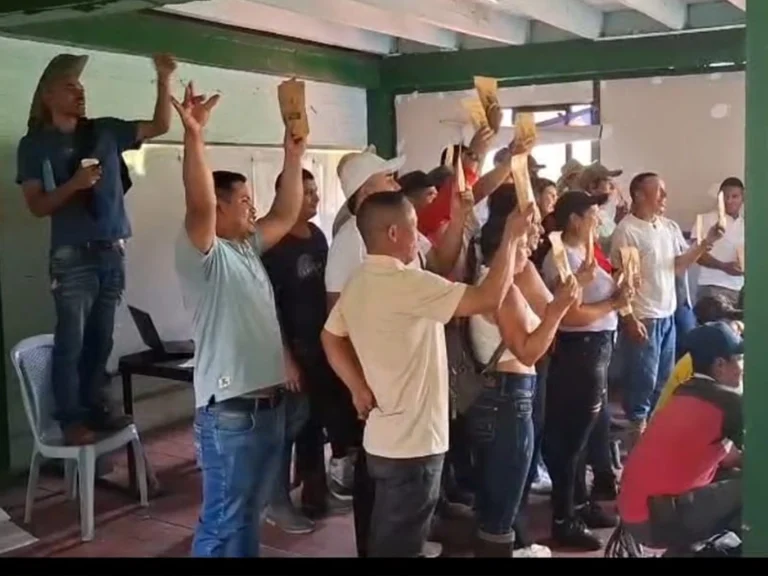 ituanfo2